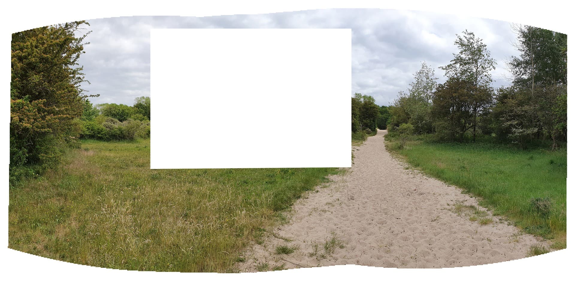 Uitsnede van een Landschap