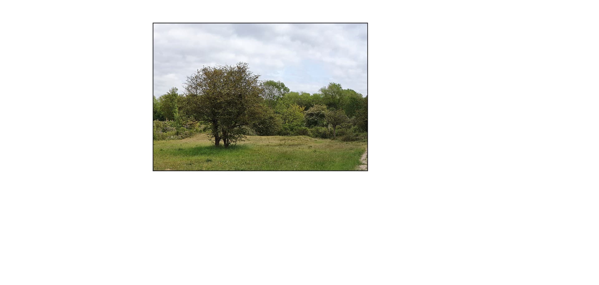 Uitsnede van een Landschap