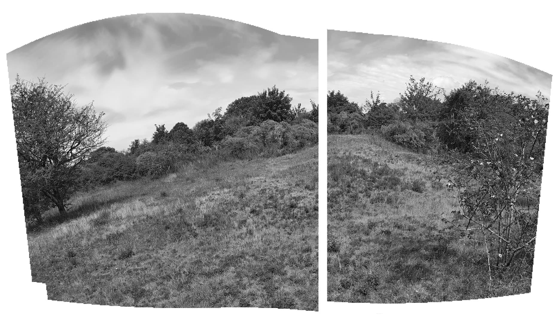Landschap