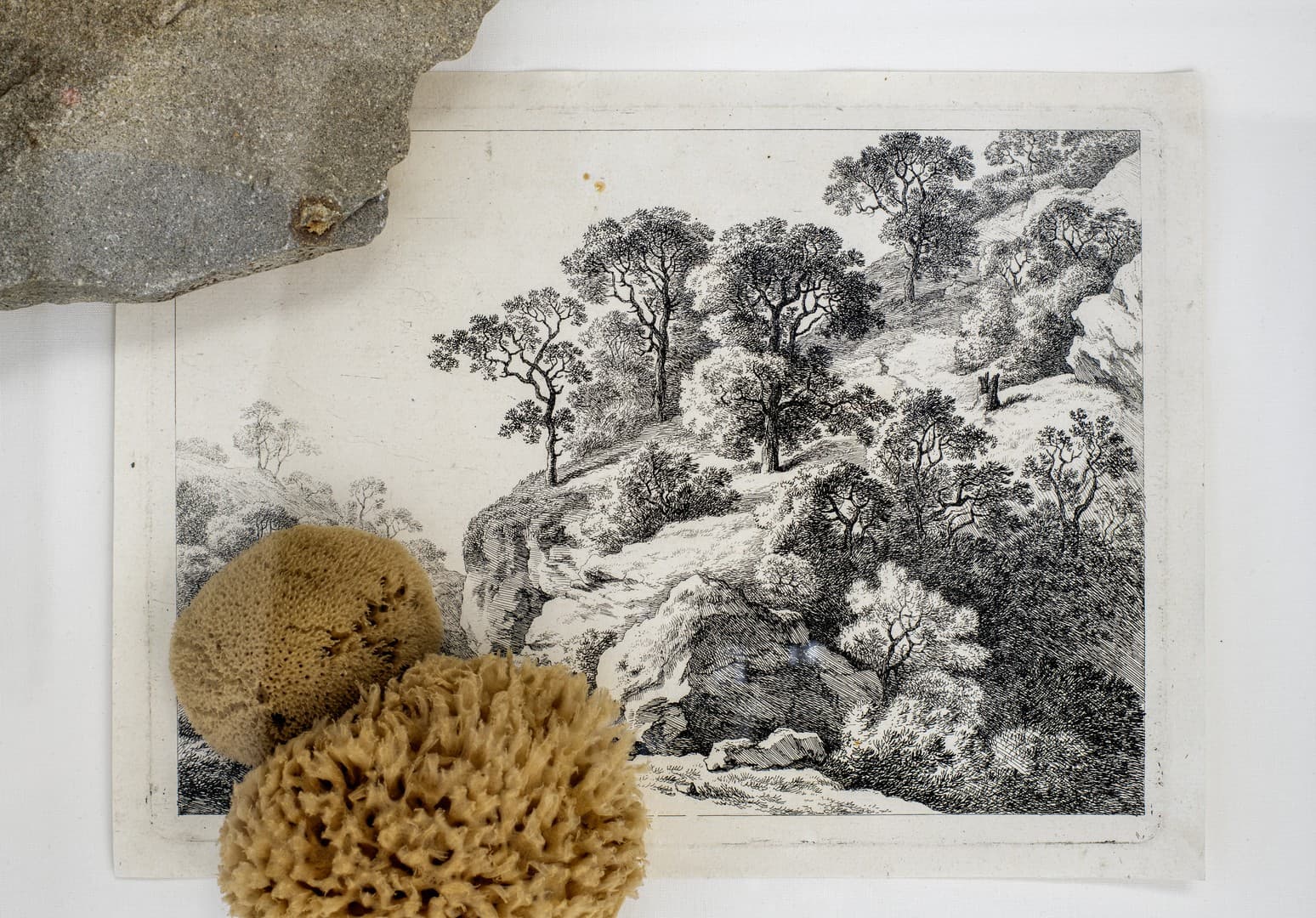Métamorphoses (detail > vindplaats kei: Plage bij Le Pradet, Z. Fr.)