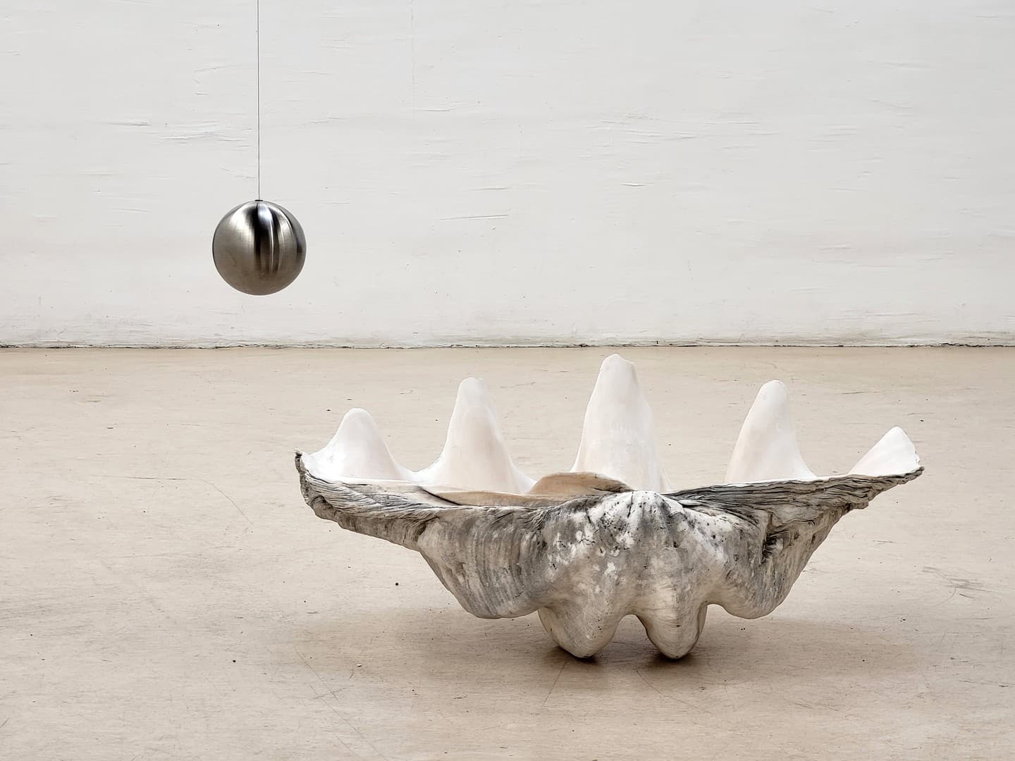 Coquillage