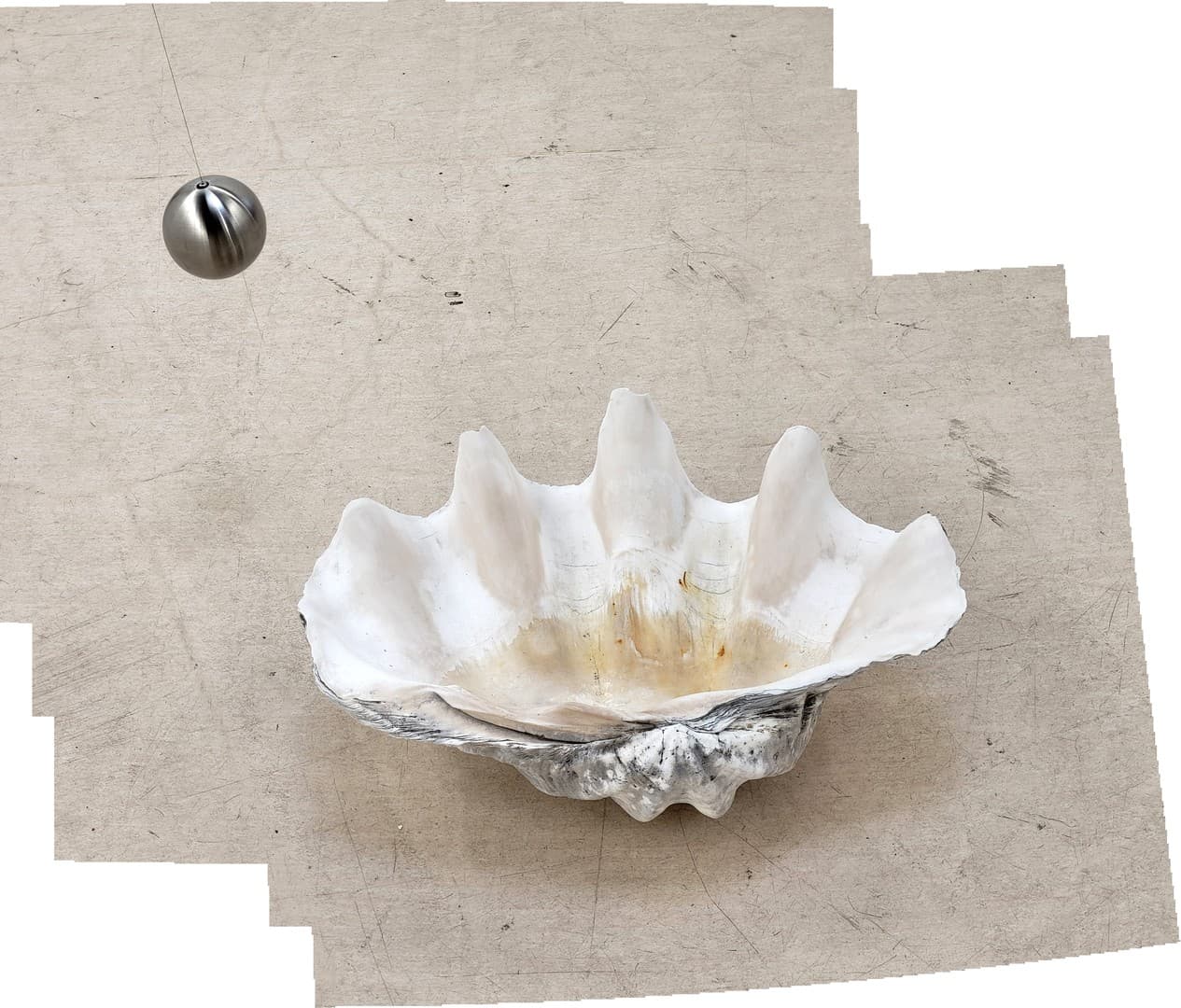 Coquillage